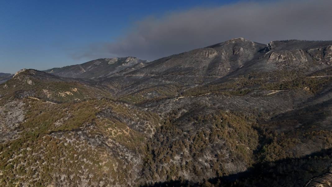 Sakarya'da yürek acıtan görüntüler: Yangının bıraktığı hasar ortaya çıktı 4
